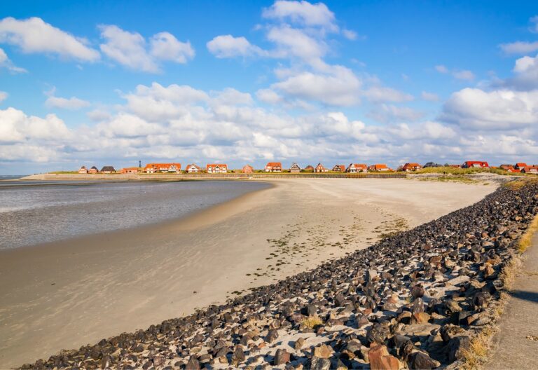 Understanding the Benefits of Plant-Based Diets for Immune Health