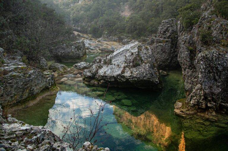 Travel and Wildlife: Visiting National Parks and Sanctuaries