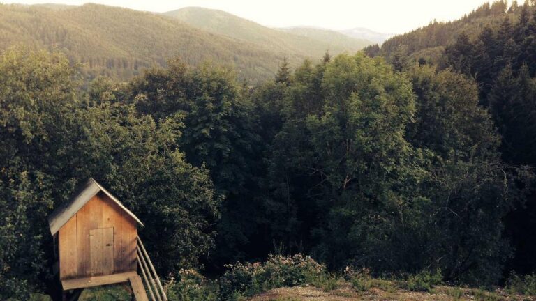 How To Save 11Xplay Reddy Login Id And Password India Download File?