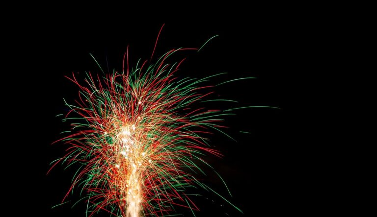 Reddyanna Pro: Revolutionizing Digital Solutions for Modern Enterprises